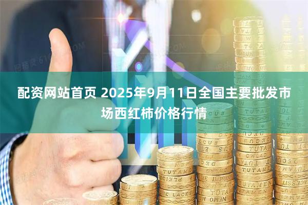 配资网站首页 2025年9月11日全国主要批发市场西红柿价格行情